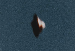 3.gif (72546 byte)