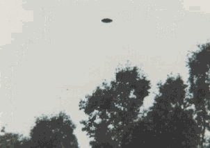 4.gif (26344 byte)
