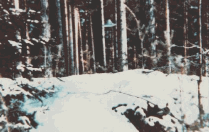 1.gif (22389 byte)