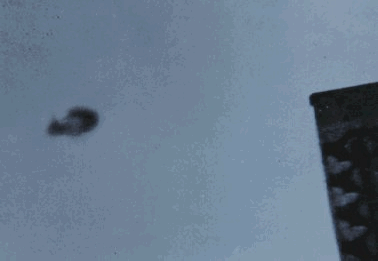 2.gif (39663 byte)