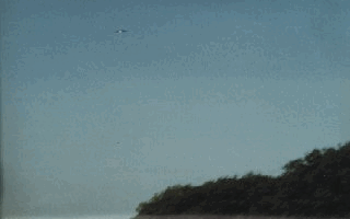 4.gif (26344 byte)