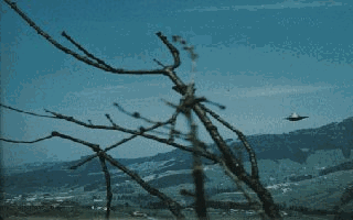 5.gif (77928 byte)