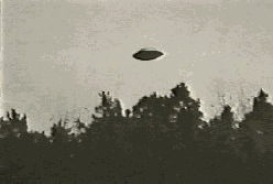 2.gif (39663 byte)