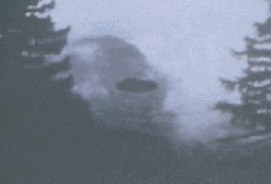 3.gif (72546 byte)