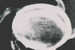 4.gif (26344 byte)