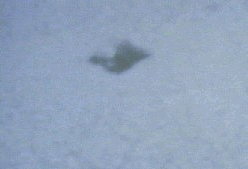 6.gif (54663 byte)