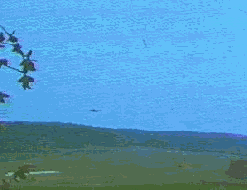 1.gif (22389 byte)