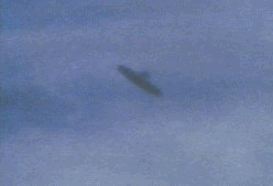 2.gif (39663 byte)
