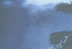 5.gif (77928 byte)