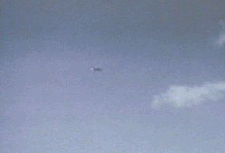 6.gif (54663 byte)
