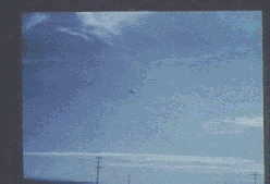 2.gif (39663 byte)