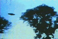4.gif (26344 byte)