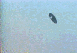 5.gif (77928 byte)