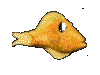 zz-jefffish.gif (2624 byte)