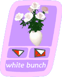 aaaa11white_bunch.gif (4889 byte)