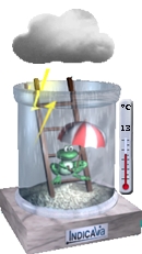 aaaaaafroggy_blitz.jpg (21640 byte)