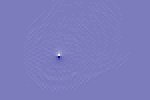4444aquapunto.jpg (1177 byte)