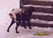tn_08.jpg (3398 byte)
