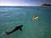 tn_04.jpg (2648 byte)