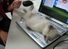 tn_immagine_divertente_08.jpg (4296 byte)