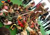 tn_immagine_divertente_05.jpg (3183 byte)