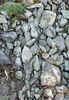 tn_immagine_divertente_05.jpg (3183 byte)