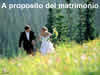 a proposito del matrimonio.jpg (1822 byte)