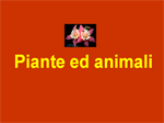 Piante ed Animali.gif (3421 byte)
