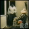 08.gif (3607 byte)