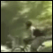 07.gif (3493 byte)