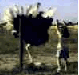 02.gif (5879 byte)