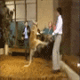 08.gif (3607 byte)