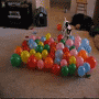 01.gif (3945 byte)