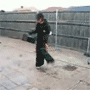 05.gif (3803 byte)