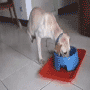 04.gif (4316 byte)