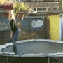 02.gif (5879 byte)