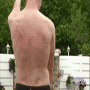 04.gif (4316 byte)