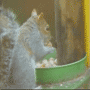 04.gif (4316 byte)