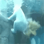 05.gif (3803 byte)