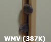 06.jpg (2974 byte)