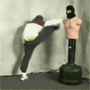 07.gif (3493 byte)