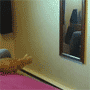 03.gif (3044 byte)