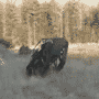 07.gif (3493 byte)