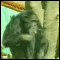 03.gif (3044 byte)