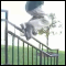 05.gif (3803 byte)