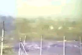 z3.gif (5473 byte)